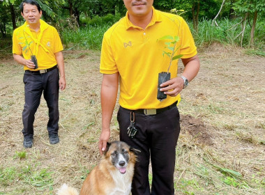 กิจกรรมปลูกต้นไม้เฉลิมพระเกียรติพระบาทสมเด็จพระเจ้าอยู่หัว ... พารามิเตอร์รูปภาพ 9